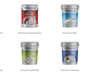 Transform Your Space with Premium Satin Silk Paint