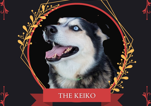 Liebe Promo Day and Silly Pets Competition