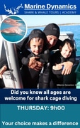 Next Marine Dynamics Shark Cage Diving Trip: 18 April 2024