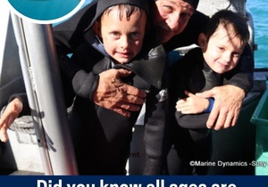 Next Marine Dynamics Shark Cage Diving Trip: 18 April 2024