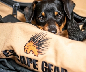 Escape Gear Seat Covers