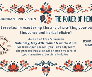 4 May 2024: The Power of Herbs