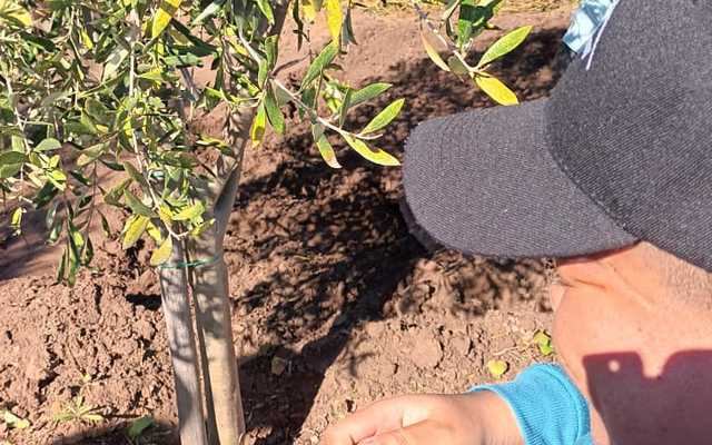 WhatsApp_Image_2024_04_18_at_09.19.00_1713426174