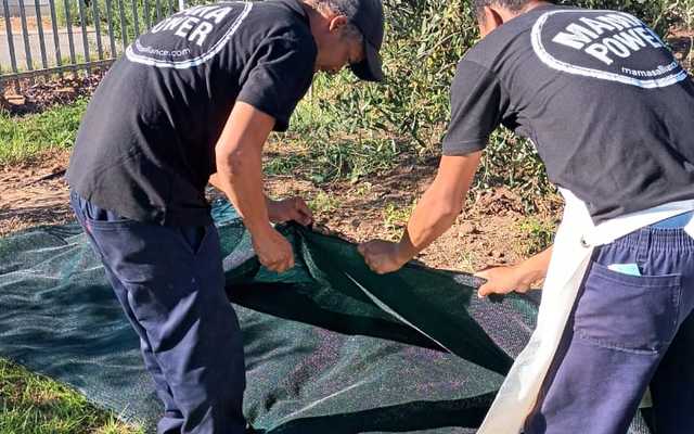 WhatsApp_Image_2024_04_18_at_09.19.01_2_1713426175