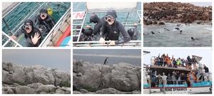 Daily Blog: 17 April 2024 | Shark Cage Diving in South Africa