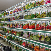 Seeds - Overberg Agri Caledon - Xplorio™ Caledon