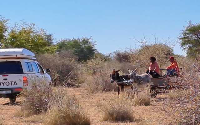 OntdekDeel11Toer1_1713511108