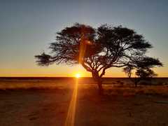 Ontdek Zimbabwe en Botswana (Deel 11)