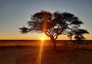 Ontdek Zimbabwe en Botswana (Deel 11)