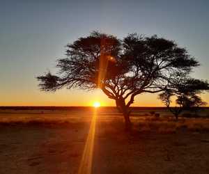 Ontdek Zimbabwe en Botswana (Deel 11)