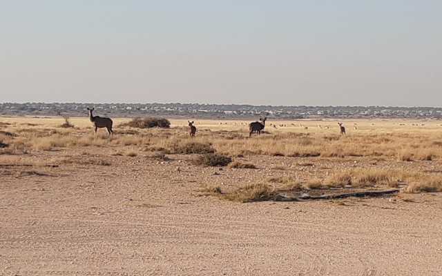 OntdekDeel11Toer6_1713511109