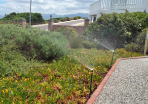 Custom Irrigation Solutions for Your Garden's Water Needs!