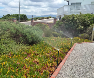 Custom Irrigation Solutions for Your Garden's Water Needs!