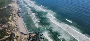 Things to Do in Gansbaai: Boat Tours, Klipgat Cave, Beaches and More!