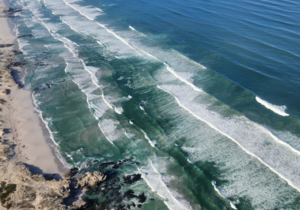 Things to Do in Gansbaai: Boat Tours, Klipgat Cave, Beaches and More!