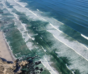 Things to Do in Gansbaai: Boat Tours, Klipgat Cave, Beaches and More!