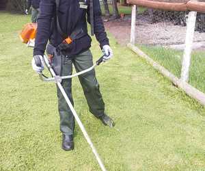 Hands-On Brushcutter Training at Green Futures College