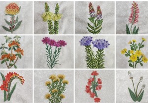 8 May 2024: Cape Fynbos Hand Embroidery Workshop