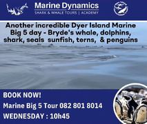 Next Dyer Island Marine Big 5 Tour: 24 April 2024