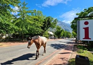 Things to Do Near Vyeboom Cottage