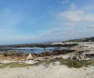 Join Us in Protecting Pearly Beach!