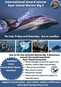 Next Dyer Island Marine Big 5 Tour: 25 April 2024