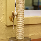 Cat Toys - Pet Food Express - Xplorio™ Gansbaai