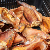 Treats - Pet Food Express - Xplorio™ Gansbaai