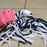 Dog Toys - Pet Food Express - Xplorio™ Gansbaai