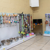 Dog Department - Pet Food Express - Xplorio™ Gansbaai