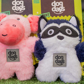 Dog Toys - Pet Food Express - Xplorio™ Gansbaai