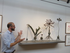 Amazing Grootbos Foundation Open Day