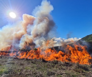 Fynbos Management: Controlled Ecological Burn at Grootbos