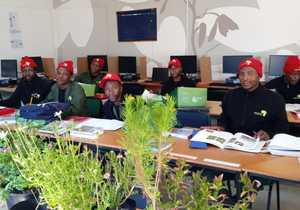 Fynbos Identification for Students
