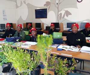 Fynbos Identification for Students