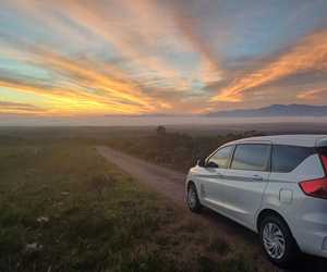 Pay Driver with Debit Card, EFT, or Cash