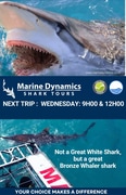 Next Shark Cage Diving Trip: 1 May 2024