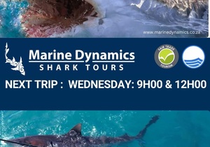 Next Shark Cage Diving Trip: 1 May 2024