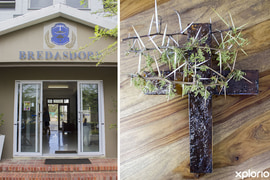 3 May 2024 Newsletter