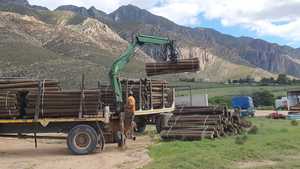 Pine Pole Delivery to Montagu