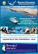 Next Dyer Island Marine Big 5 Tour: 8 May 2024