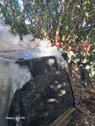 Plant Learning, First Aid, and HIV Awareness