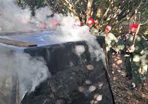 Plant Learning, First Aid, and HIV Awareness