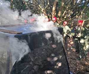 Plant Learning, First Aid, and HIV Awareness