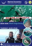 Next Shark Cage Diving Trip: 9 May 2024