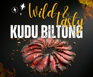 Wild Tasty Kudu Biltong