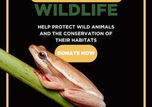 Support the 'Call of the Wildlife' Campaign