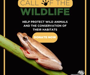Support the 'Call of the Wildlife' Campaign