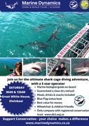 Next Shark Cage Diving Trip: 11 May 2024