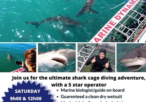 Next Shark Cage Diving Trip: 11 May 2024